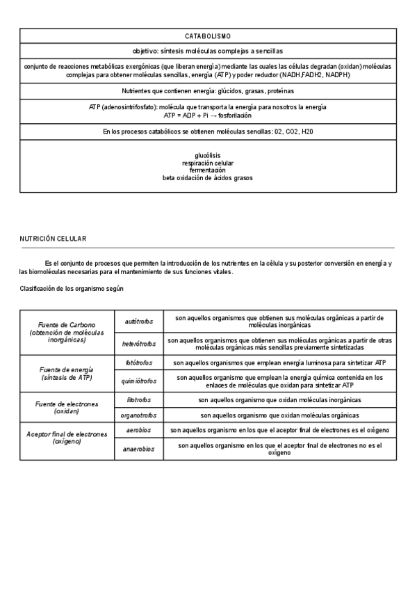 Miniatura del documento TEMA-9.1-CATABOLISMO.pdf