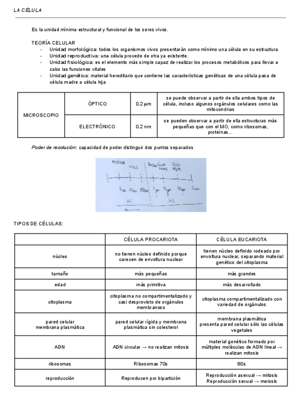 Miniatura del documento BLOQUE-2-LA-CELULA.pdf