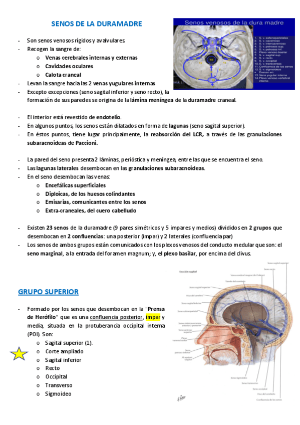 Miniatura del documento vascularizacion-t6.pdf