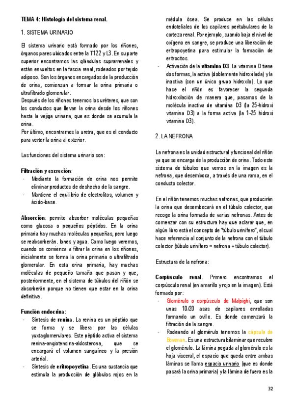 Miniatura del documento 4.-HISTOLOGIA-DEL-SISTEMA-RENAL.pdf