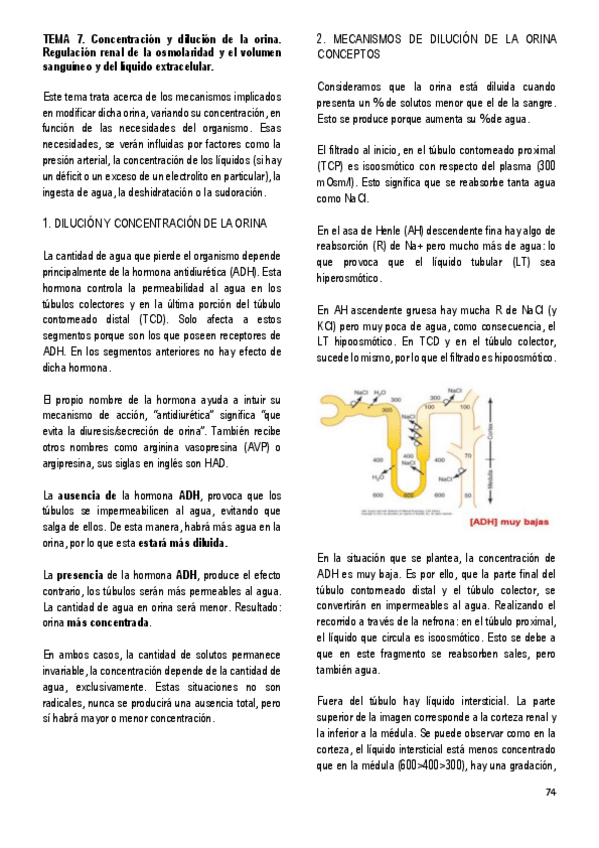 Miniatura del documento 7.-CONCENTRACION-Y-DILUCION-DE-LA-ORINA.pdf