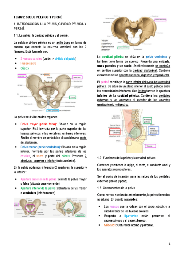 Miniatura del documento 9.-SUELO-PELVICO-Y-PERINE.pdf