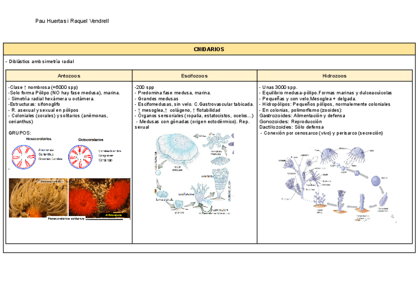 Miniatura del documento RESUM-Zoologia-2n-parcial.pdf