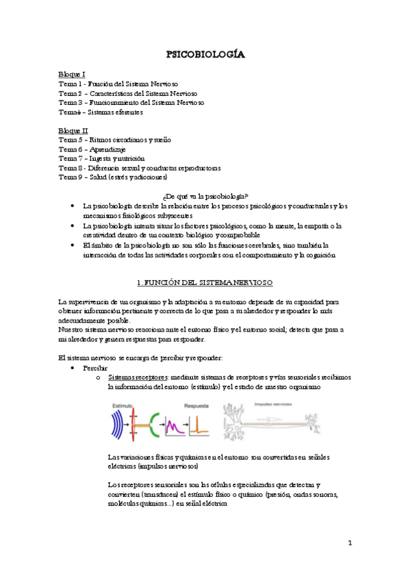 Miniatura del documento APUNTES-psicobiologia-Parcial-1.pdf