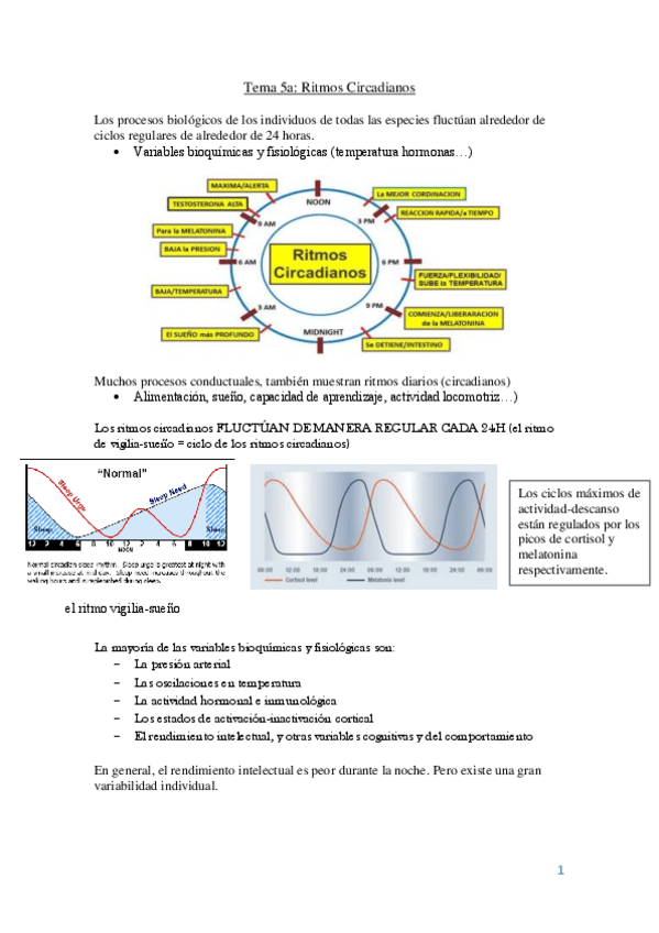 Miniatura del documento APUNTES-Psicobiologia-Parcial-2.pdf