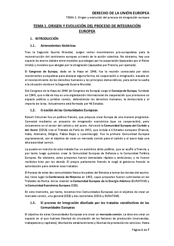 Miniatura del documento Derecho-de-la-Union-Europea.pdf