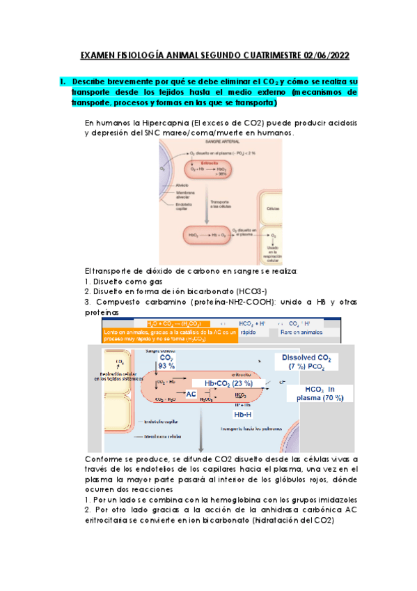 Miniatura del documento Examen-resuelto-2o-cuatri-FA-2023.pdf