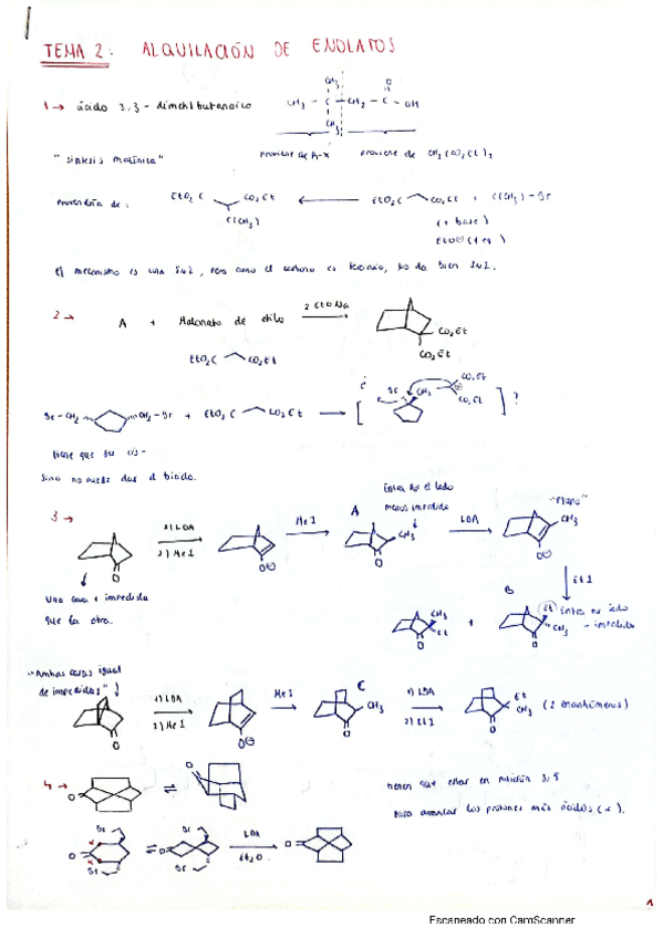 Miniatura del documento tema-2-problemas.pdf