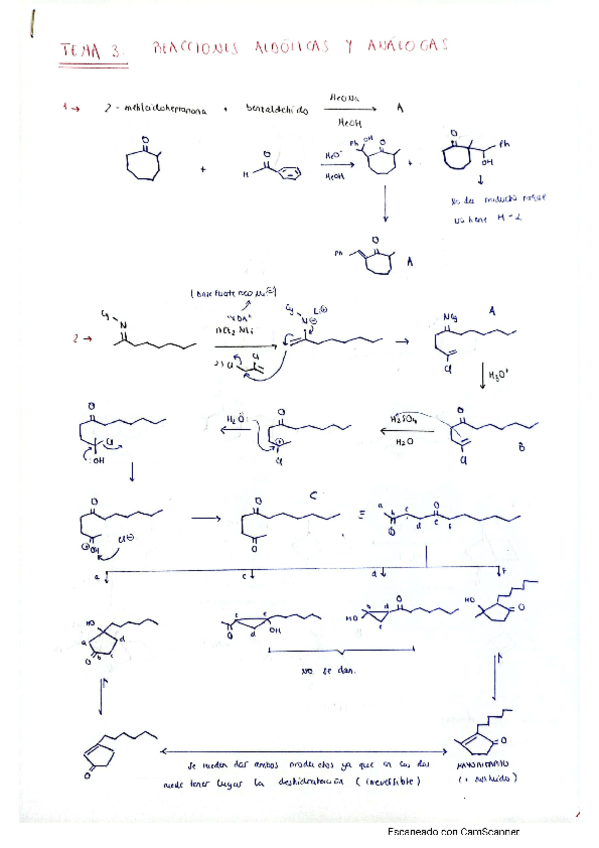 Miniatura del documento tema-3-problemas.pdf