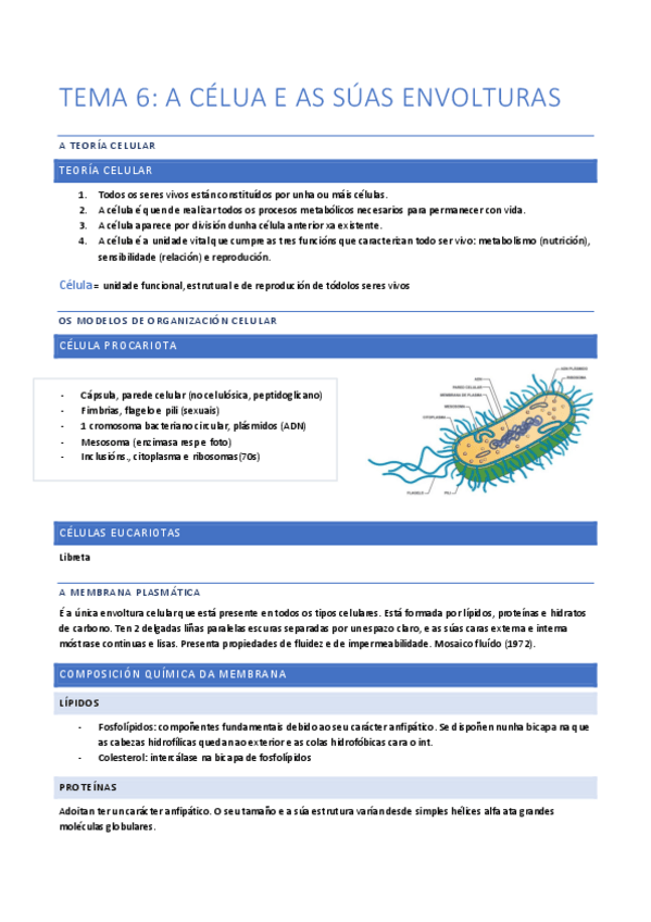 Miniatura del documento tema-6-7-y-8.pdf