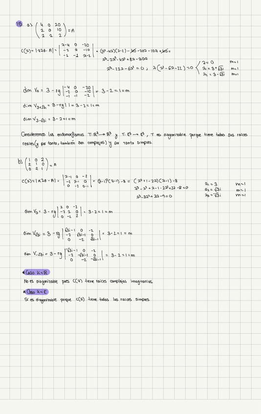 Miniatura del documento Endomorfismos-1.pdf