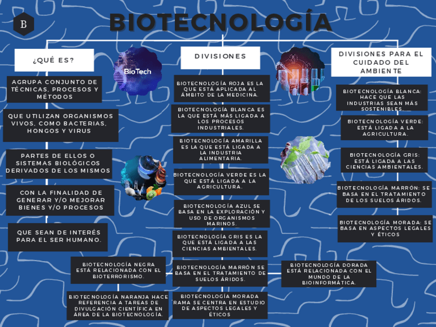 Miniatura del documento BIOTECNOLOGIA-MAPA.pdf
