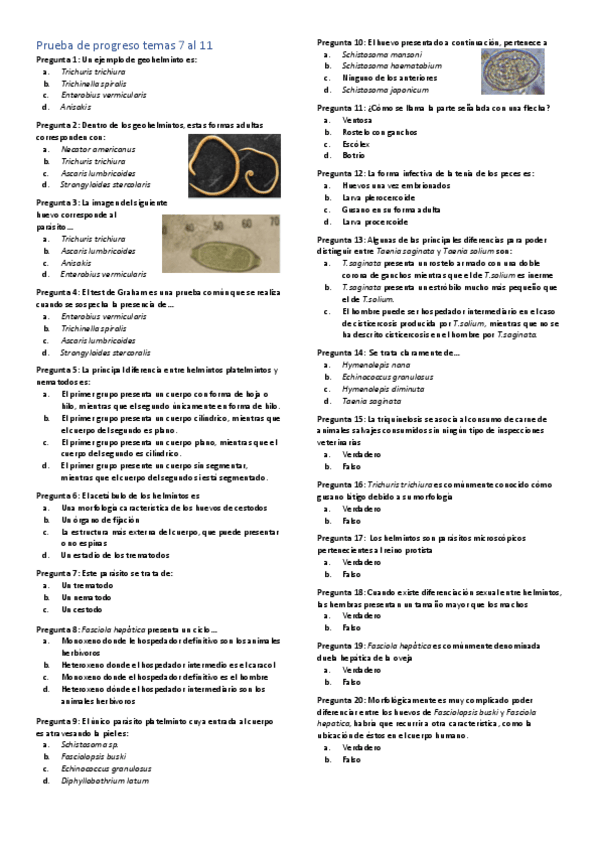 Miniatura del documento TEST-temas-7-al-11.pdf