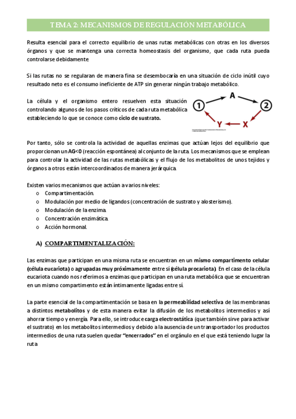 Miniatura del documento Tema-2-Mecanismo-de-regulacion-metabolica.pdf