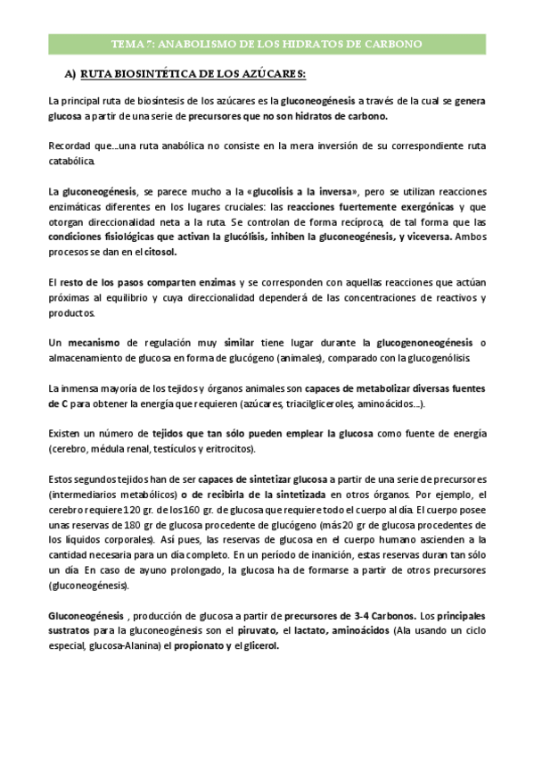 Miniatura del documento Tema-7-Anabolismo-de-los-Hidratos-de-Carbono.pdf