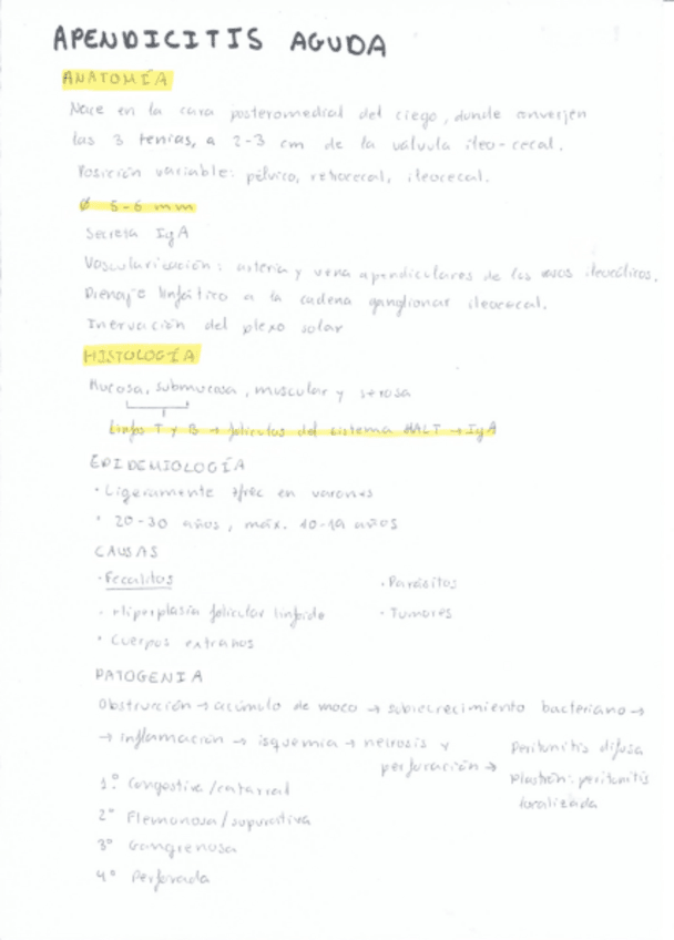 Miniatura del documento Apendicitis-y-diverticulo-de-Meckel.pdf