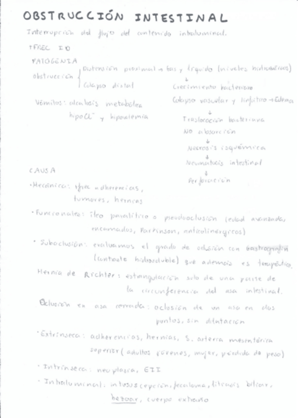Miniatura del documento Obstruccion-intestinal.pdf
