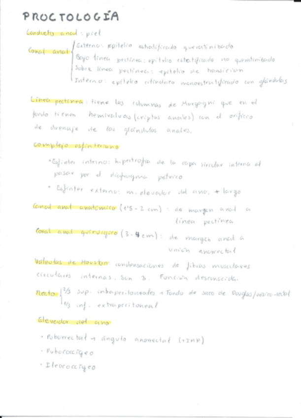 Miniatura del documento Proctologia.pdf