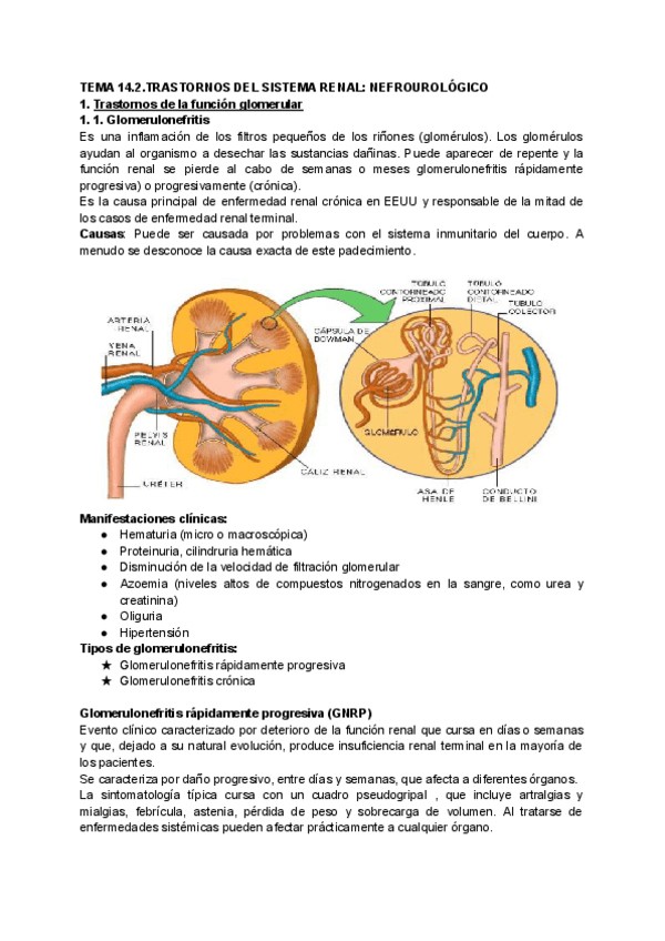 Miniatura del documento Tema-14.2.-Trastornos-del-sistema-renal.pdf