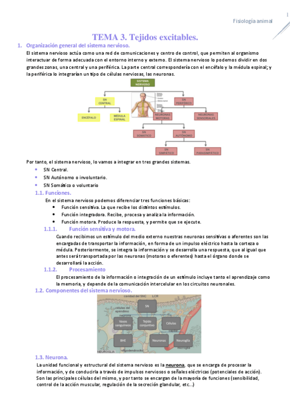 Miniatura del documento TEMA-3-FISIOLOGIA.pdf