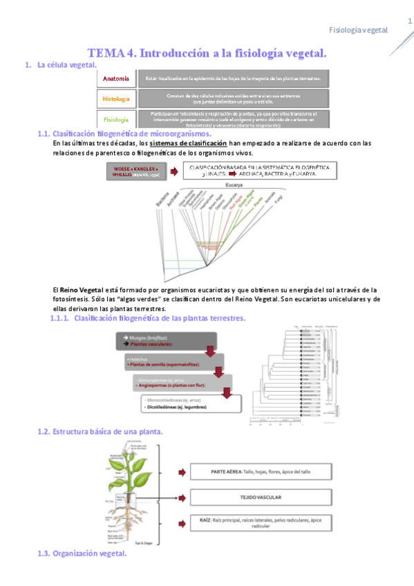 Miniatura del documento TEMA-4-FISIOLOGIA.pdf