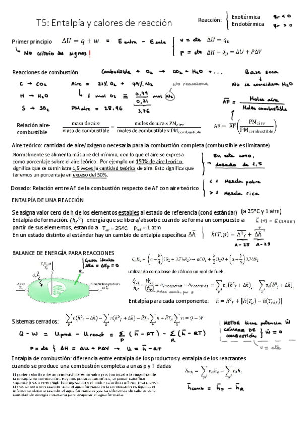 Miniatura del documento Resumen-Temas-5-7.pdf