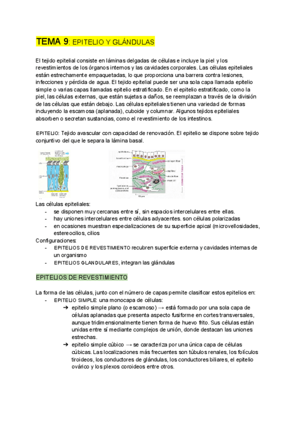 Miniatura del documento BIOLOGIA-CELULAR-tema-9.pdf