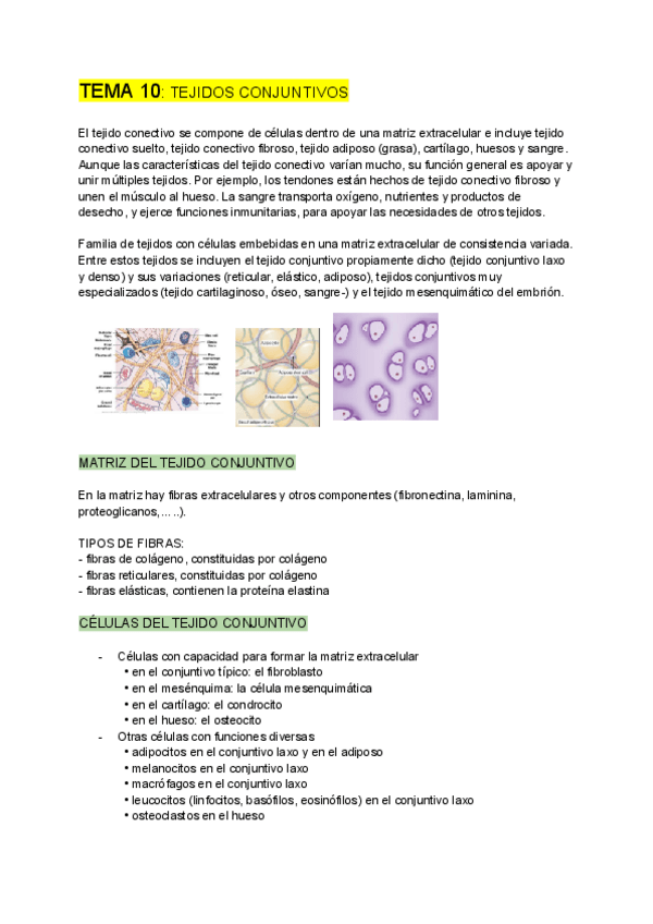 Miniatura del documento BIOLOGIA-CELULAR-tema-10.pdf