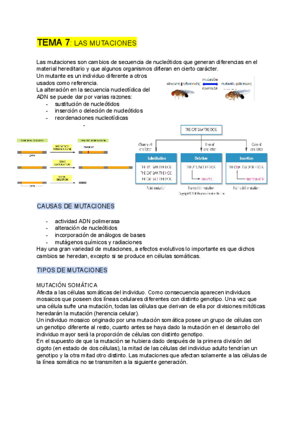 Miniatura del documento GENETICA-tema-7.pdf