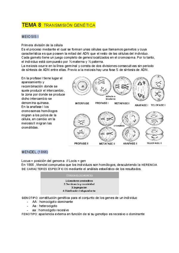 Miniatura del documento GENETICA-tema-8.pdf