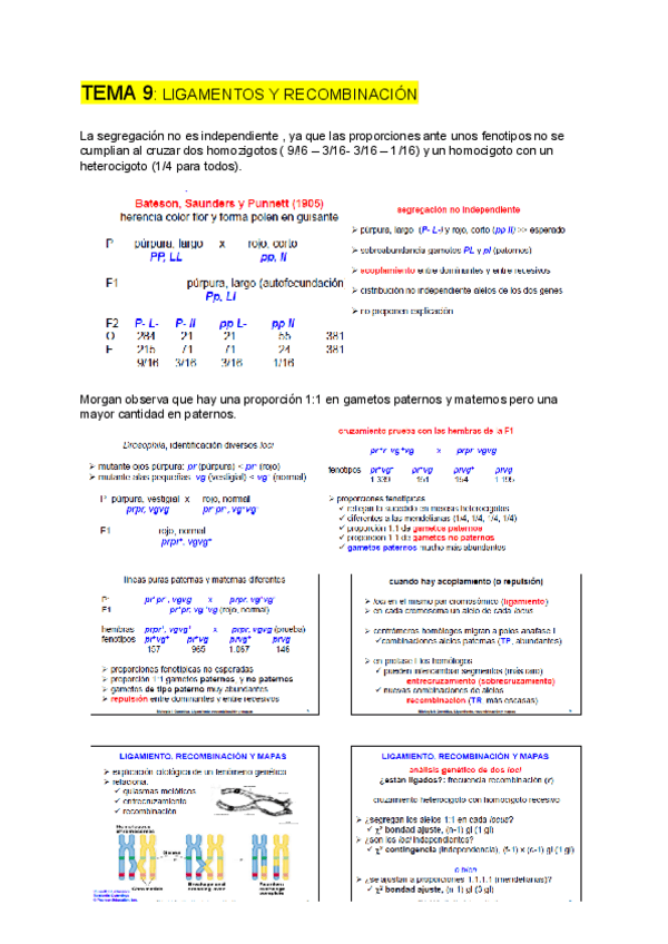 Miniatura del documento GENETICA-tema-9.pdf