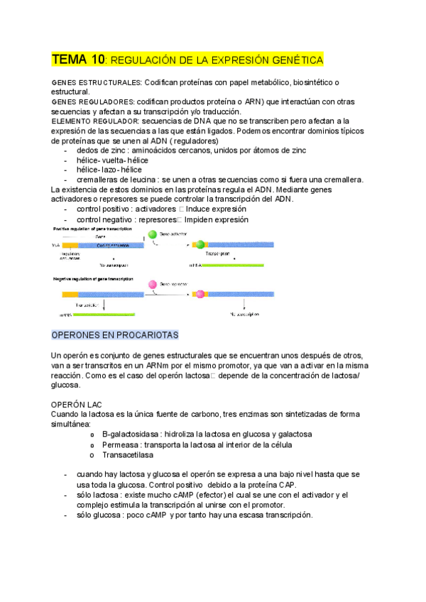 Miniatura del documento GENETICA-tema-10.pdf