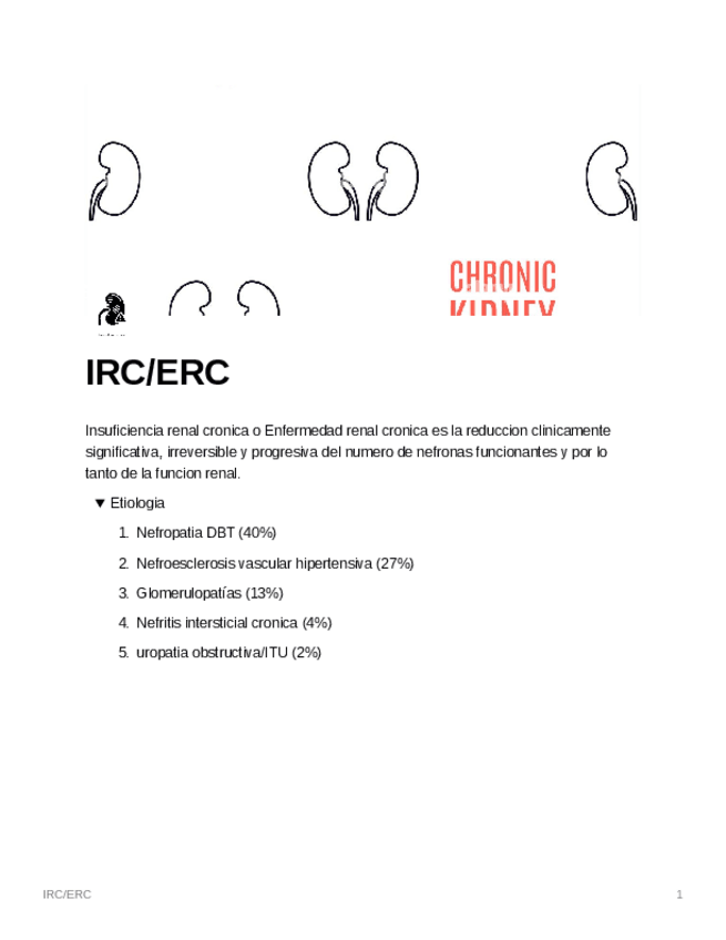 Miniatura del documento Insuficiencia-Renal-Cronica.pdf