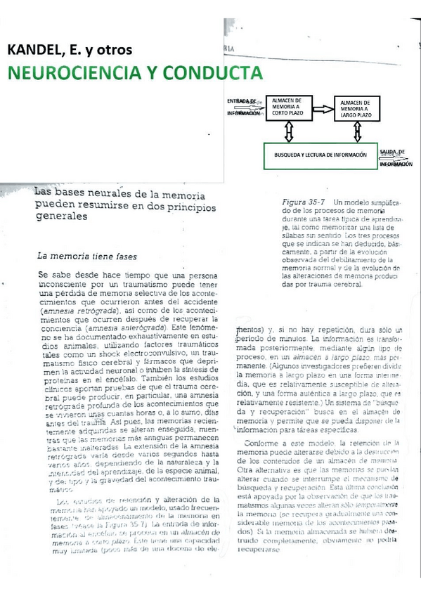 Miniatura del documento Kandel.pdf