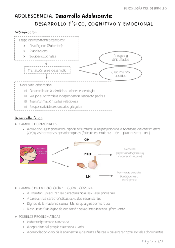 Miniatura del documento ADOLESCENCIA.-Desarrollo-Adolescente-imp.pdf