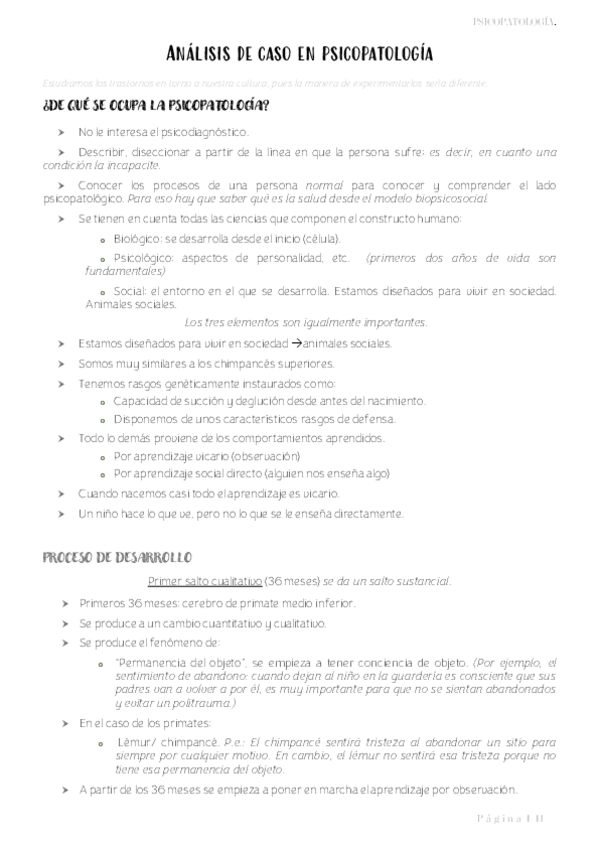 Miniatura del documento Analisis-de-caso-en-psicopatologia-IMP.pdf
