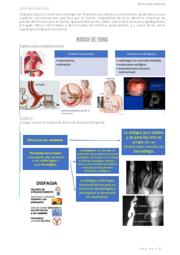 Miniatura del documento Al-aparato-digestivo-interviene-en-la-digestion-imp.pdf