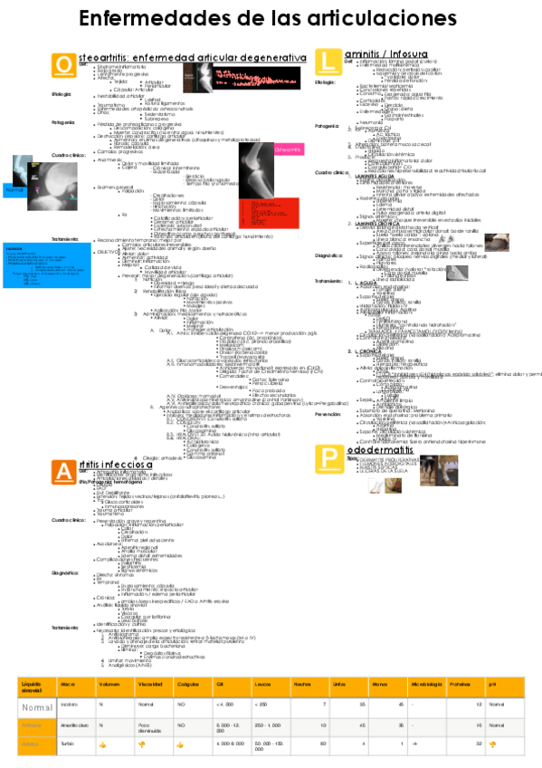 Miniatura del documento Teorico-2oP-Medica.pdf