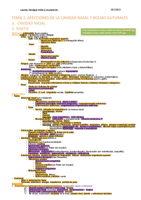 Miniatura del documento Respi-1-Parcial.pdf
