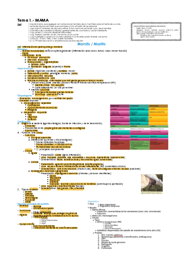 Miniatura del documento Montana-1-Parcial.pdf