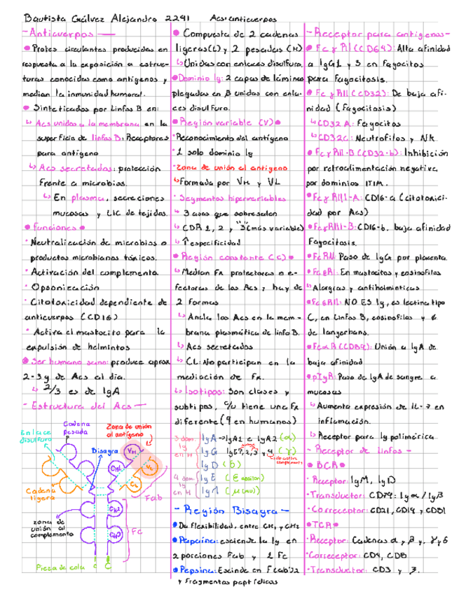 Miniatura del documento Anticuerpos221108141510.pdf