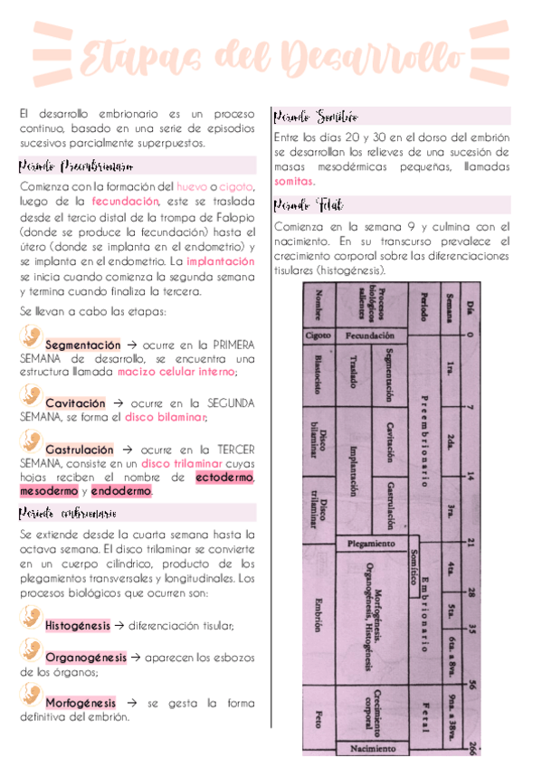 Miniatura del documento Etapas-del-Desarrollo.pdf