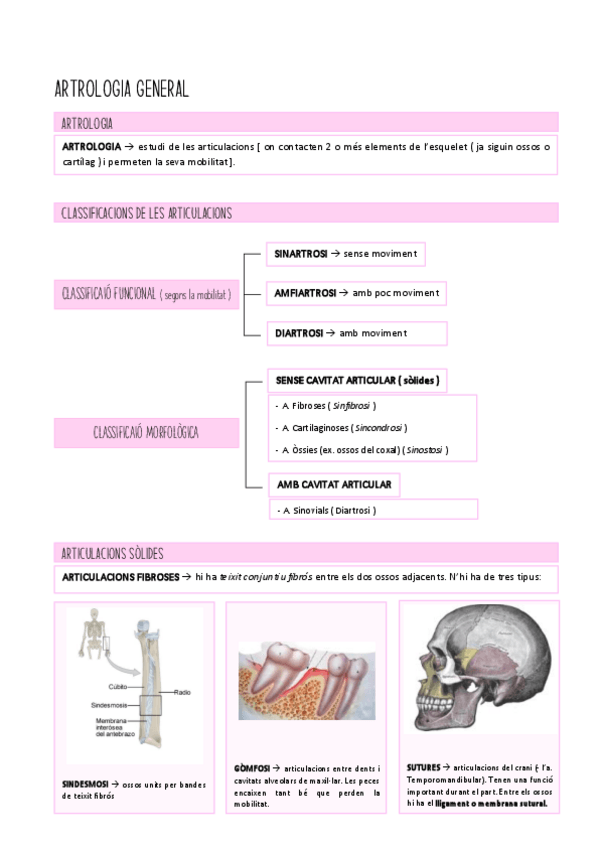 Miniatura del documento ARTROLOGIA-GENERAL.pdf