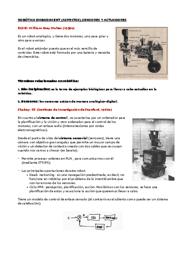 Miniatura del documento EMBODIMENT.pdf