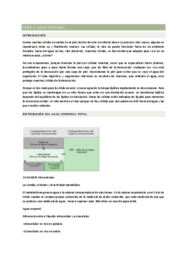 Miniatura del documento PRIMER-PARCIAL-FISIO-1.pdf