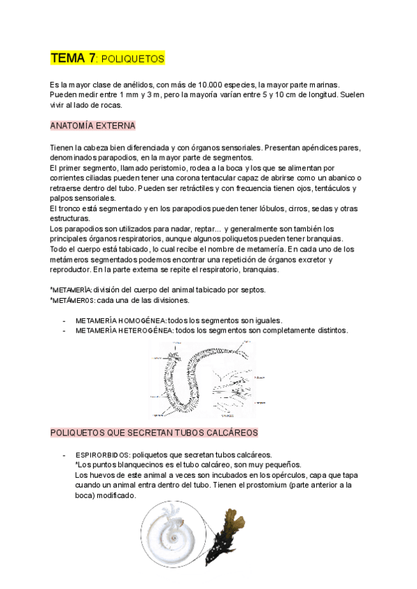 Miniatura del documento ZOOLOGIA-tema-7.pdf