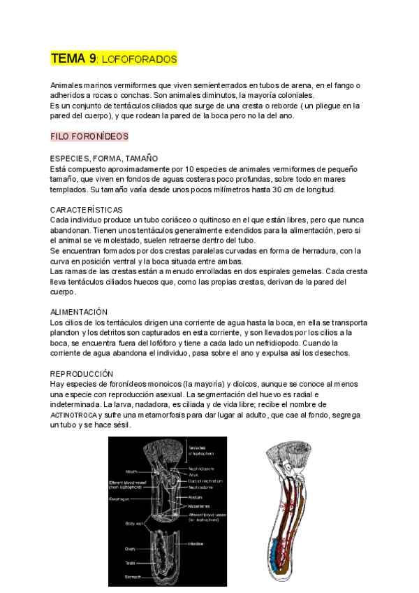 Miniatura del documento ZOOLOGIA-tema-9.pdf