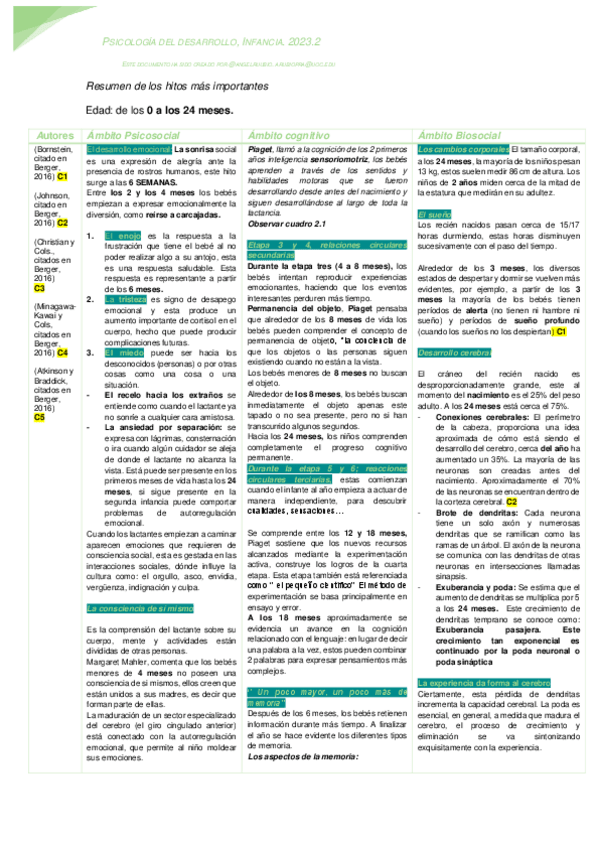 Miniatura del documento Resumen-de-los-hitos-mas-importantes-de-los-0-a-los-24-meses.pdf