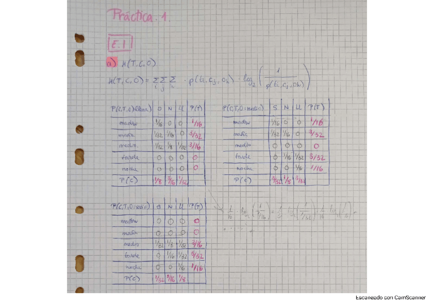 Miniatura del documento EntregasTINF.pdf