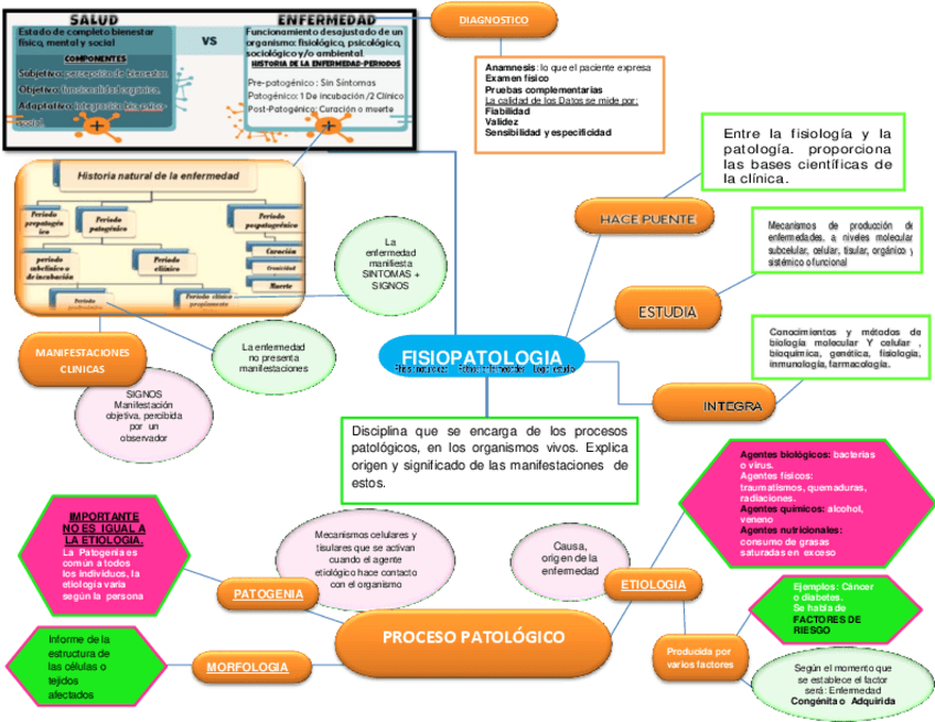 Miniatura del documento TEMA-1-FISIOPATOLOGIA-ESQ.pdf